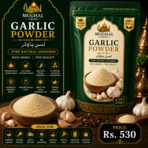 Garlic Powder – 500g Pouch | Premium Natural Garlic Seasoning Powder